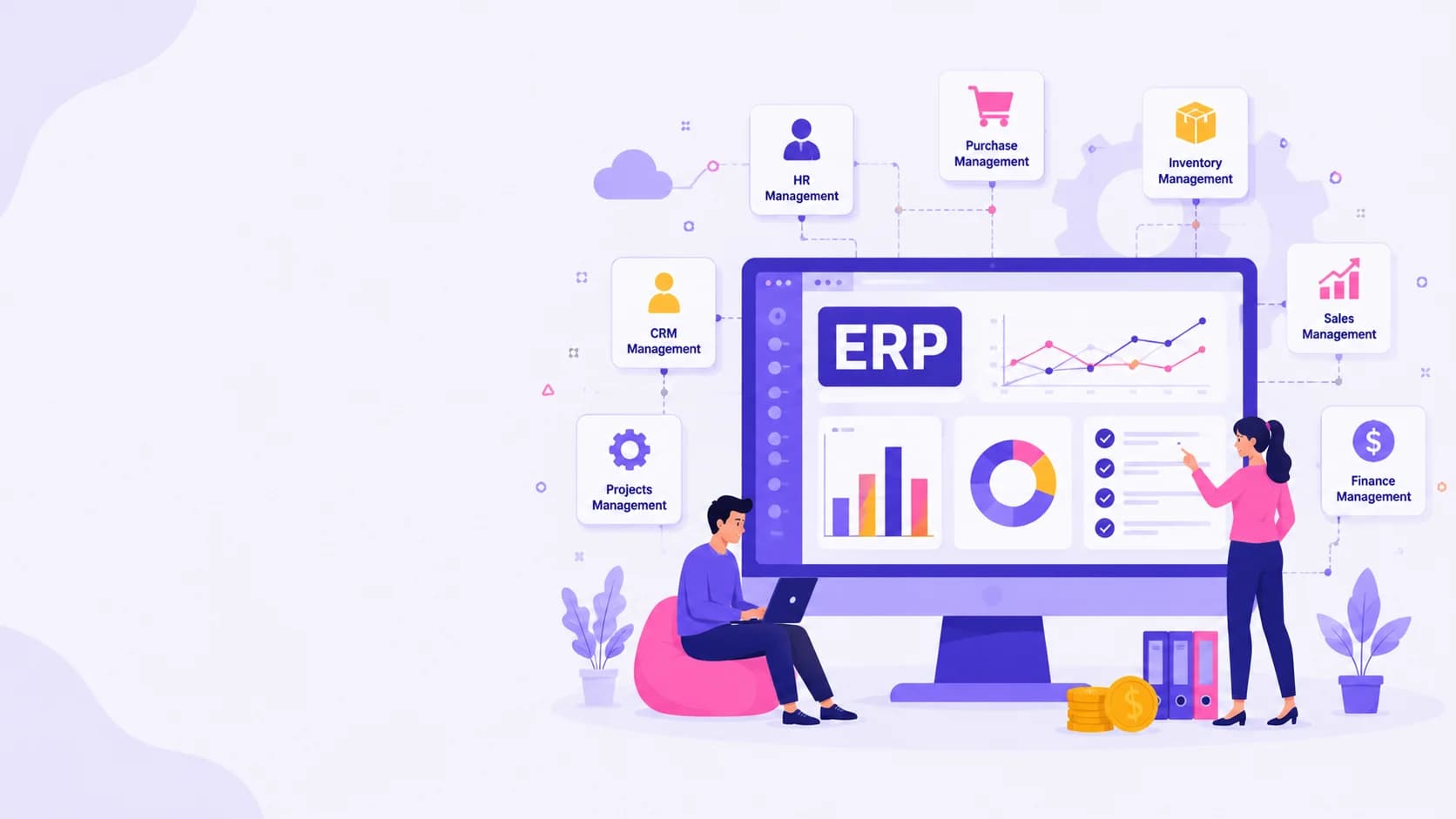 ERP (Enterprise Resource Planning) Systems background